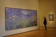 3-21-2015ClevelandMusuemArt for Museum Guide 35386 - Version 2.jpg