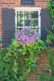 April 2016 WashingtonGardens 48011 - Version 2.jpg