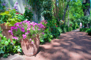 April 2016 WashingtonGardens 48020 - Version 2.jpg