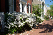 April 2016 WashingtonGardens 48069 - Version 2.jpg