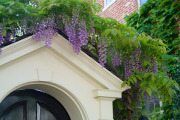April 2016 WashingtonGardens 48073 - Version 2.jpg