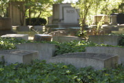 Lakeview Cemetry