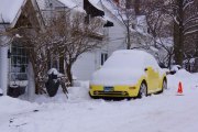 2-2014-clifton-park-winter-25665-version-2