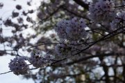 dsc00790