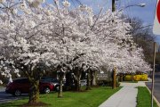 dsc00847