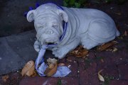 dsc09420