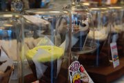 dsc09417