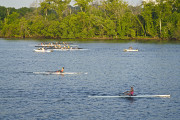 6-30-2017 Rowing 56973 - Version 2