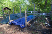April 2016 WashingtonGardens 47918.jpg