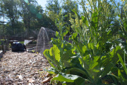 April 2016 WashingtonGardens 47922.jpg