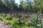 April 2016 WashingtonGardens 47923.jpg