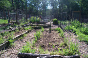 April 2016 WashingtonGardens 47924.jpg