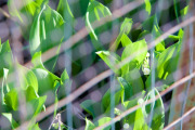 April 2016 WashingtonGardens 47956 - Version 2.jpg