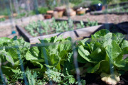 April 2016 WashingtonGardens 47963 - Version 2.jpg