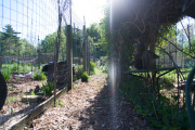 April 2016 WashingtonGardens 47974 - Version 2.jpg