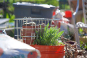 April 2016 WashingtonGardens 47978 - Version 2.jpg