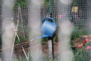 April 2016 WashingtonGardens 47982.jpg