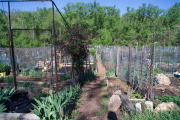 April 2016 WashingtonGardens 48000.jpg