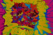 dsc09750
