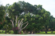 March 2016 Mexico Wedding 45215 - Version 2.jpg