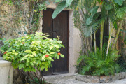 March 2016 Mexico Wedding 45275.jpg