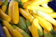 dsc04140