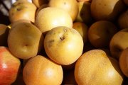 dsc04180